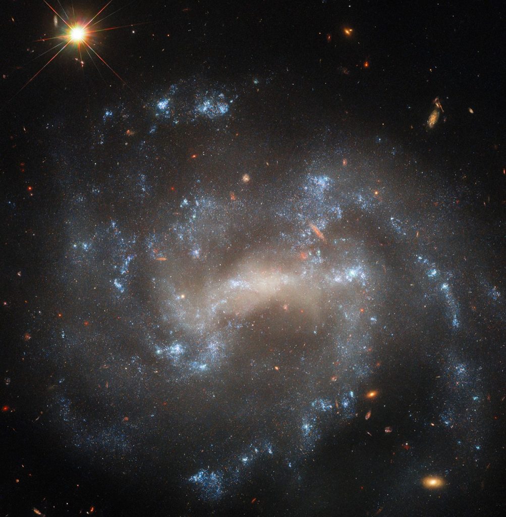 The spiral galaxy UGC 5460 shines in this NASA/ESA Hubble Space Telescope image. UGC 5460 sits about 60 million light-years away in the constellation Ursa Major.
ESA/Hubble & NASA, W. Jacobson-Galán, A. Filippenko, J. Mauerhan